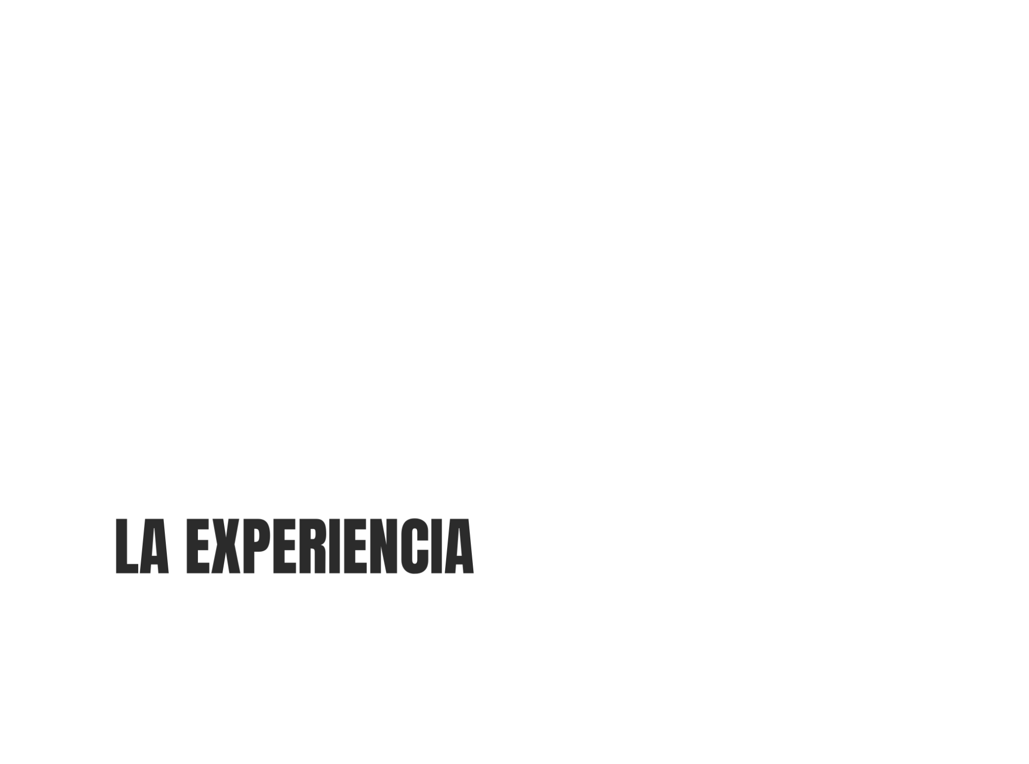 ALIADOS — La Experiencia